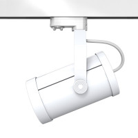 Опция. Акцент Трек. Покраска светильника в белый цвет