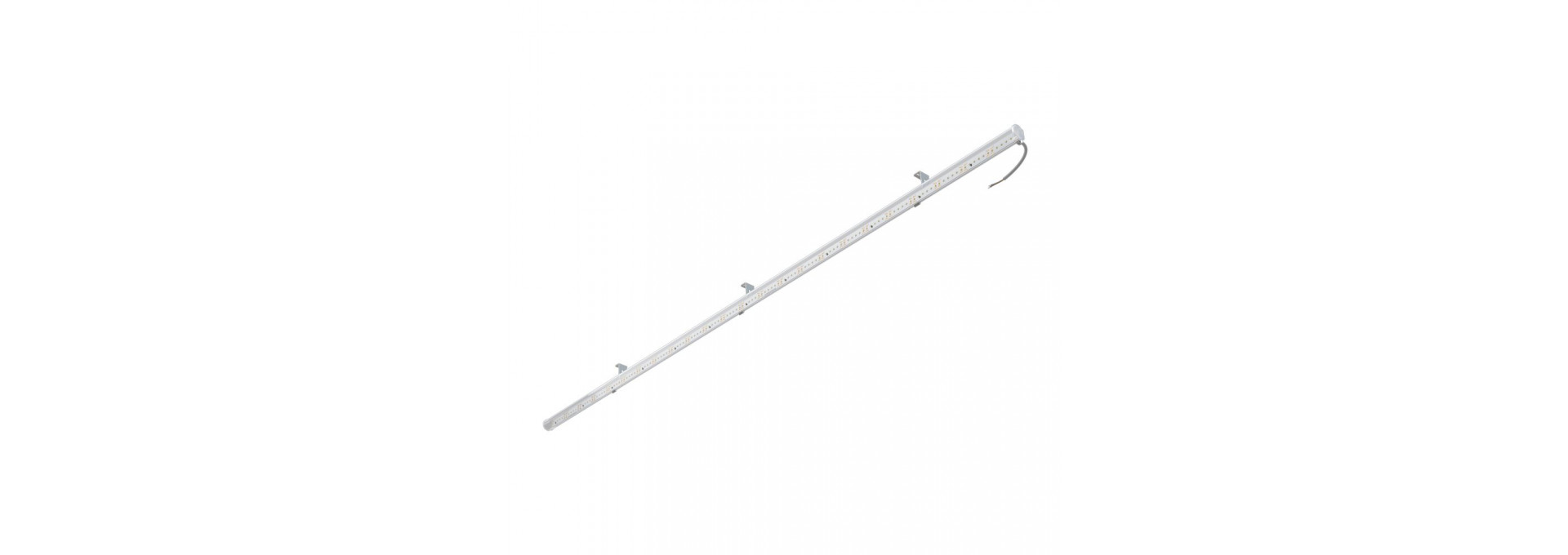 Модерн 10 2000мм 24В DC CRI80 5000К Прозрачный