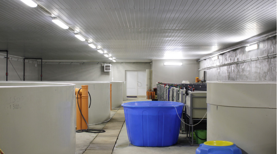 Производство ООО «АкваФерма»