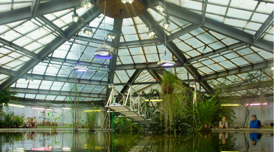 Ботанический сад Петра Великого