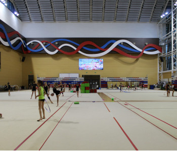 Центр гимнастики Ирины Винер