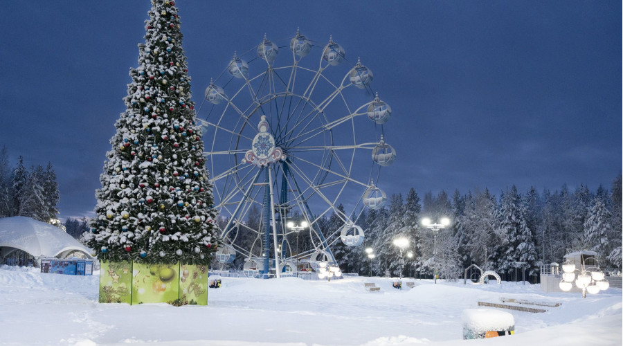 Центральный парк в г. Советский
