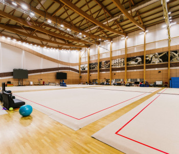 ФГБУ УТЦ «Новогорск»: освещение гимнастического зала