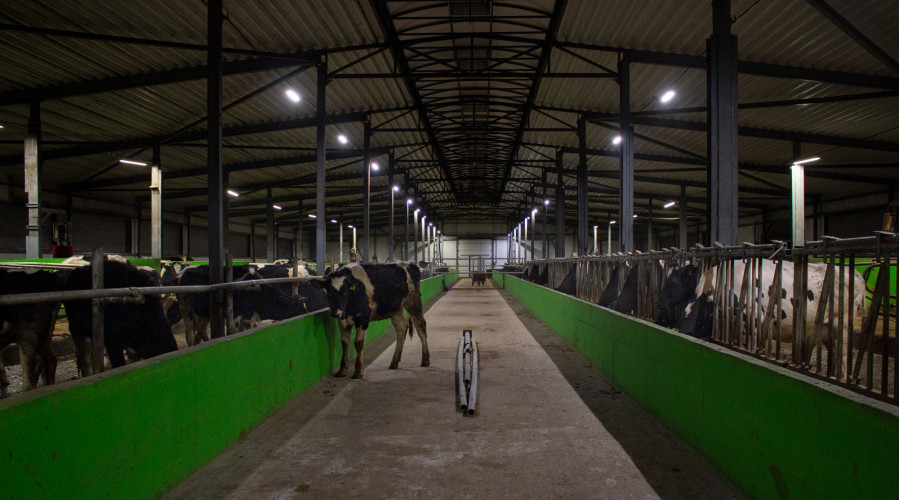 Хлев «Садко»