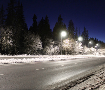 Коттеджный поселок  Андреевский парк