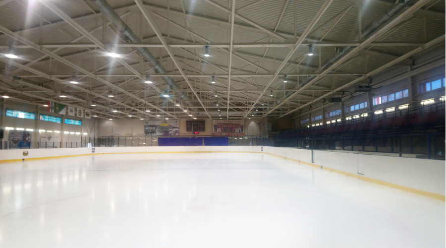 Ледовая арена «Фламинго»