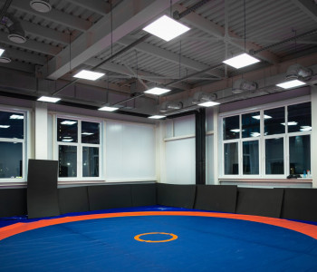 Многофункциональный спортивный комплекс: внутреннее освещение