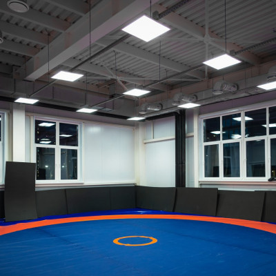 Многофункциональный спортивный комплекс: внутреннее освещение