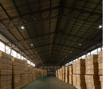  ООО «Терминал Морской Рыбный Порт»: полное переосвещение 