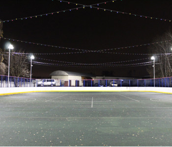 МУ «Дворец спорта Видное»