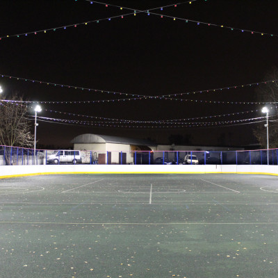 МУ «Дворец спорта Видное»