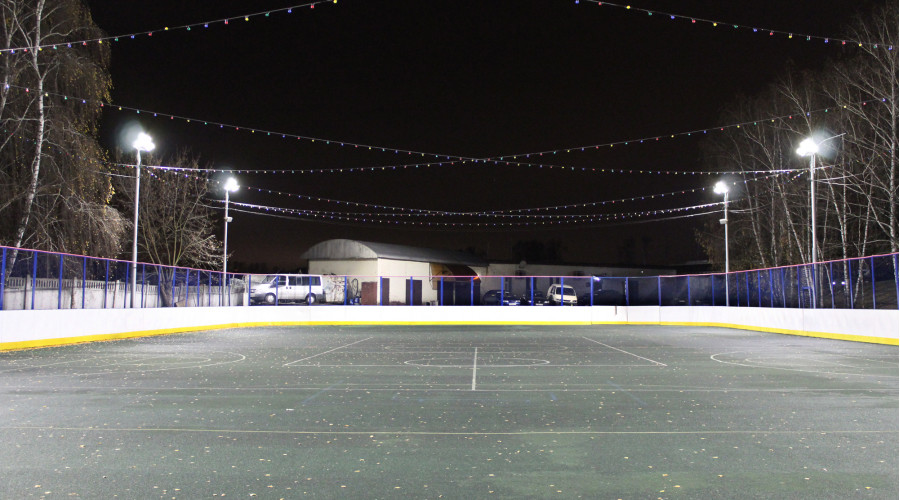 МУ «Дворец спорта Видное»