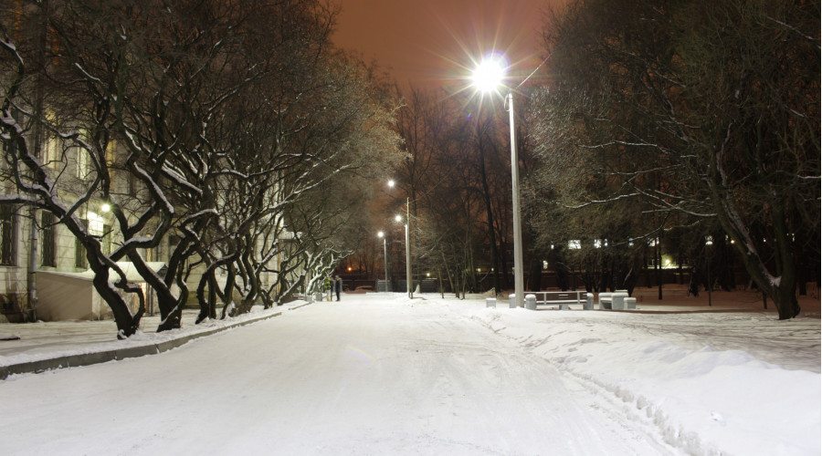 Парк НИИ им. В. М. Бехтерева