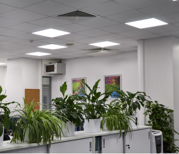 Офис компании «Випсервис»: замена устаревшего освещения