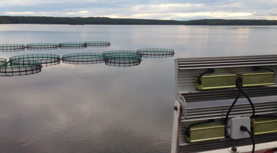 ООО «Тари Бари»