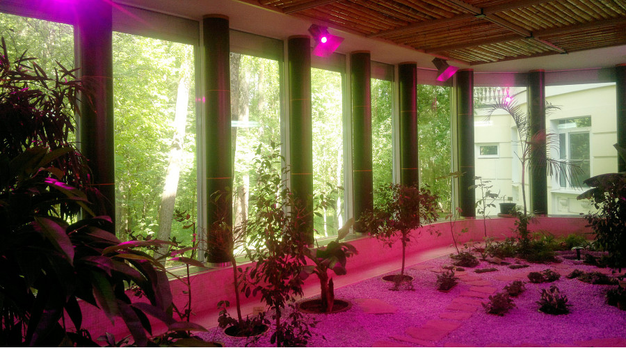 Зимний сад, Московская обл.